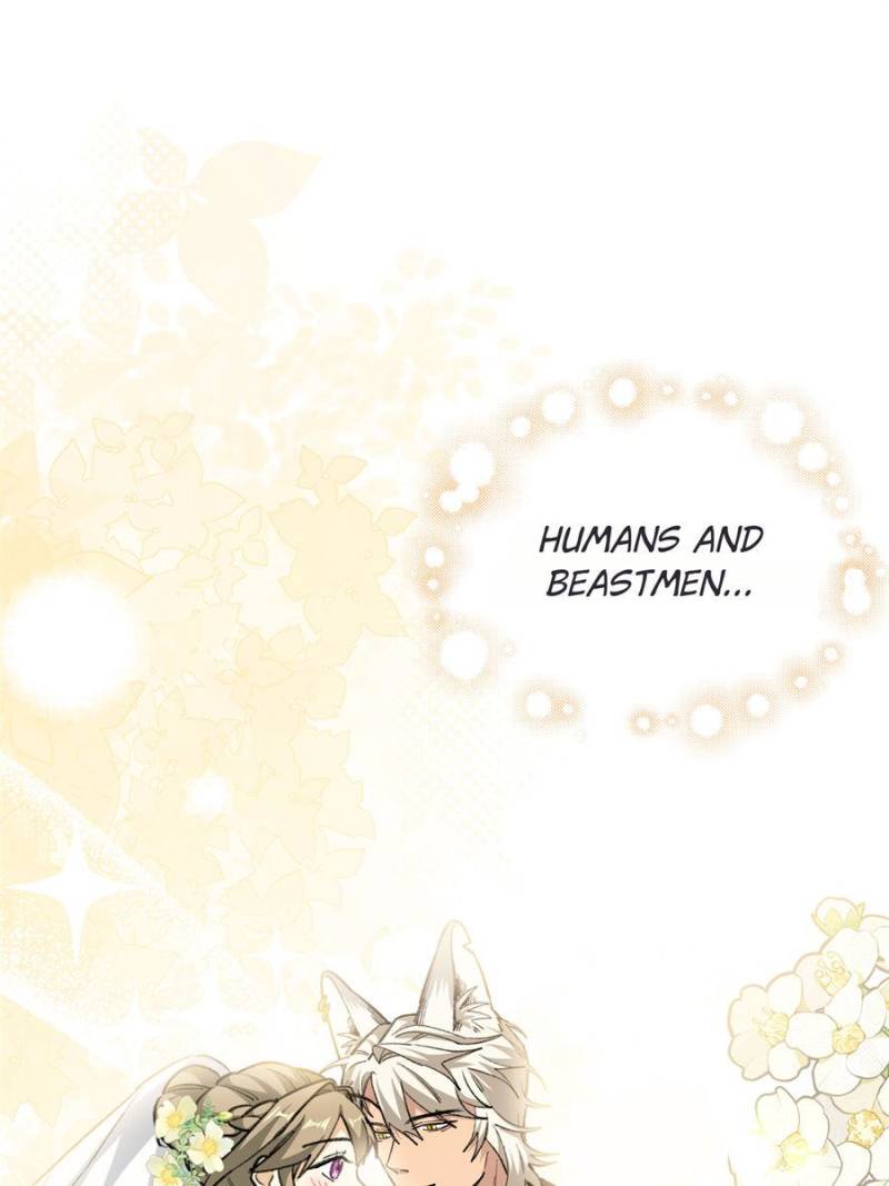 80990448 800 1067 43077