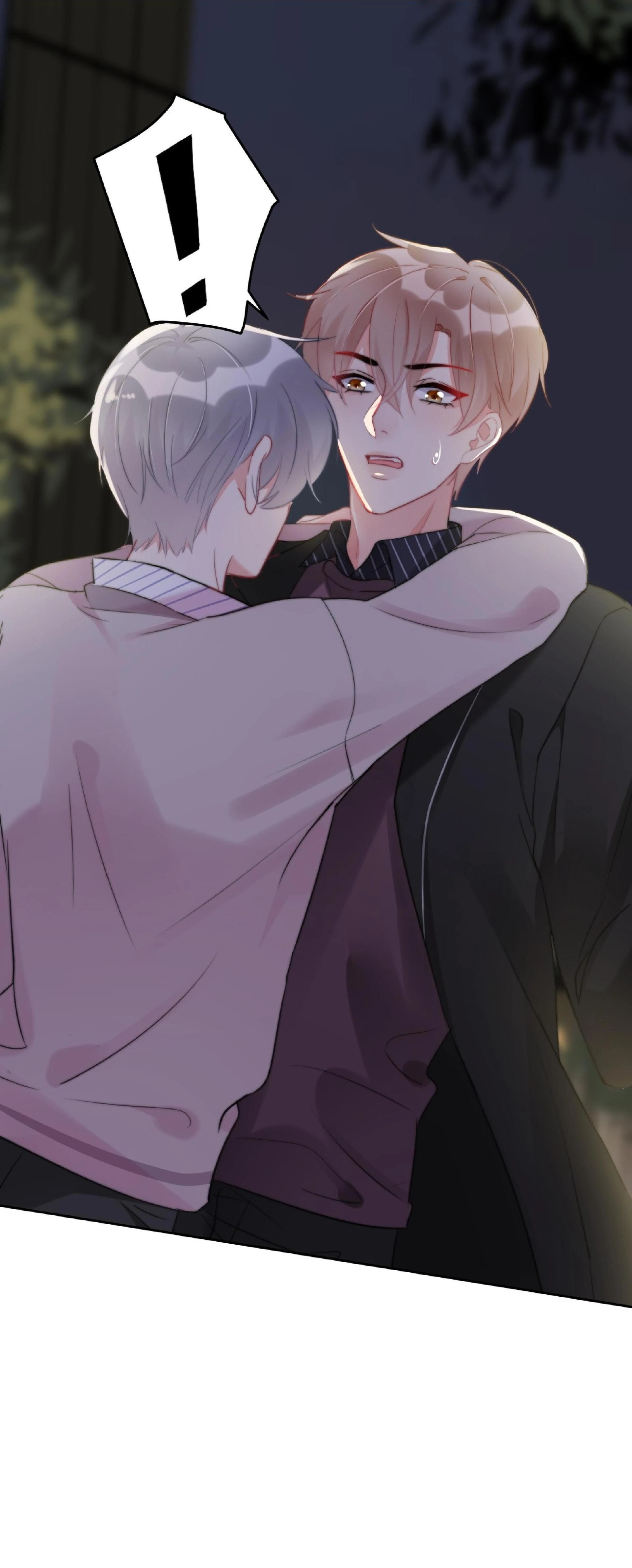 88974605 1920 4762 244064